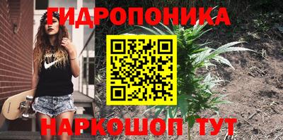 эйфоретик Пыть-Ях
